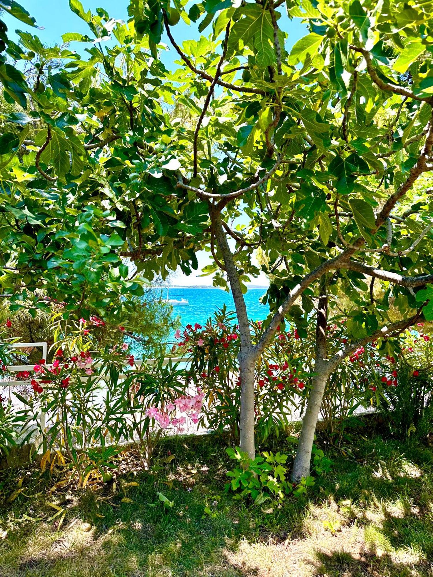 Perla&Palma Villa Zaboric Dış mekan fotoğraf