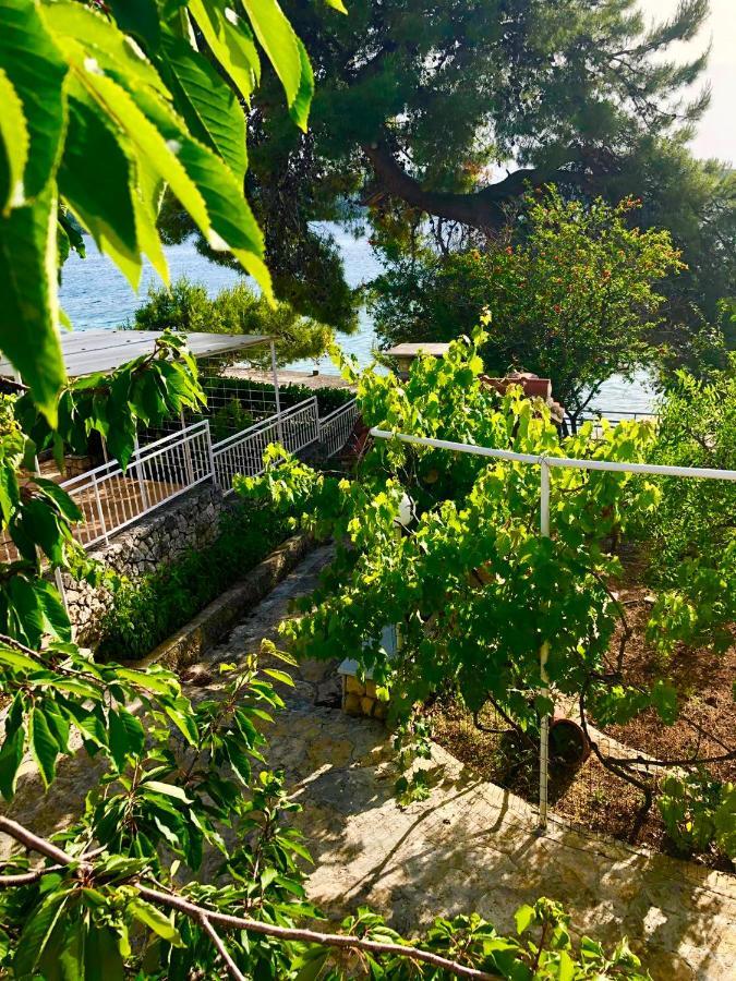 Perla&Palma Villa Zaboric Dış mekan fotoğraf